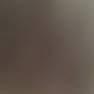 Meet your Posher, Lyucyselkie